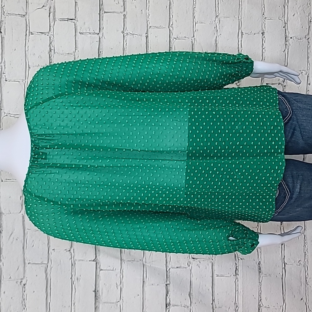 J Crew Flowy Sheer Silk Chiffon Long Sleeve Dot Blouse in Green - Picture 5 of 17